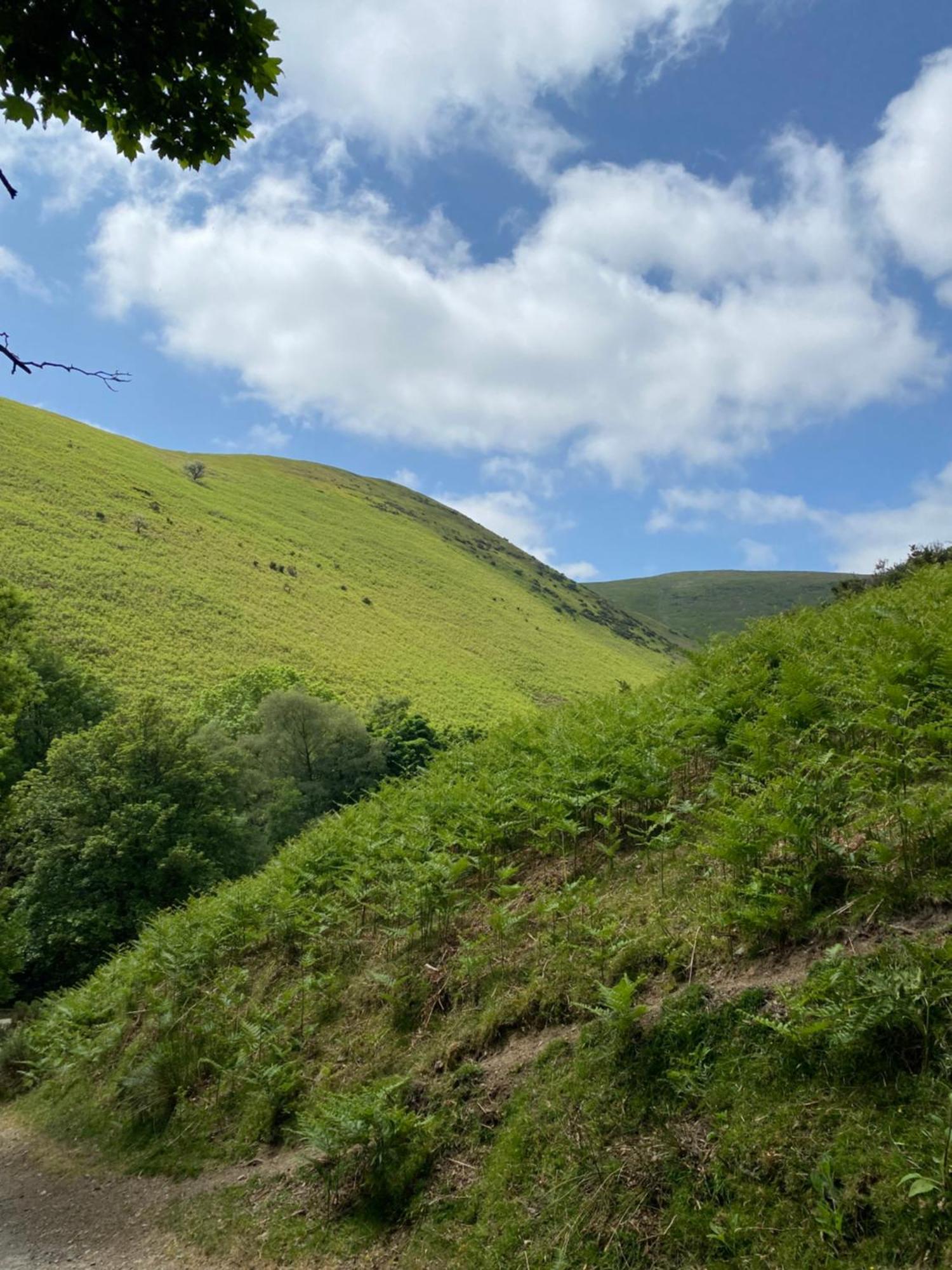 Pass The Keys Quaint 1 Bedroom Cottage In Church Stretton Bagian luar foto
